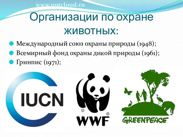 Организации по охране животных: Международный союз охраны природы (1948); Всемирный фонд