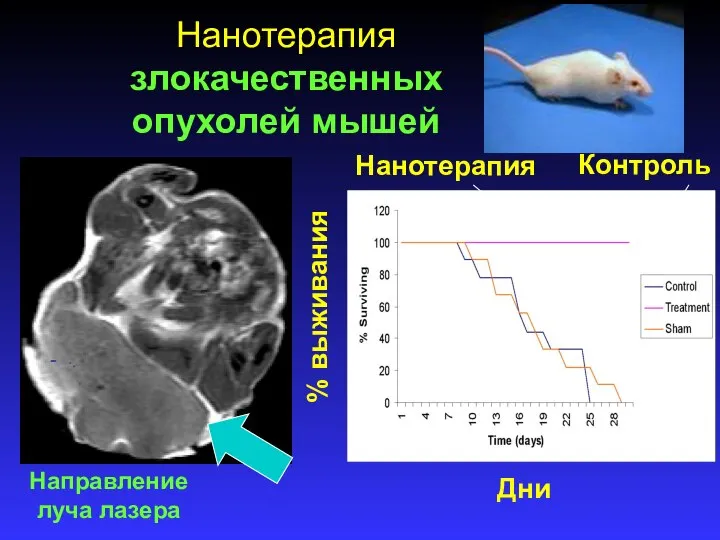 Нанотерапия злокачественных опухолей мышей Направление луча лазера % выживания Дни Нанотерапия Контроль