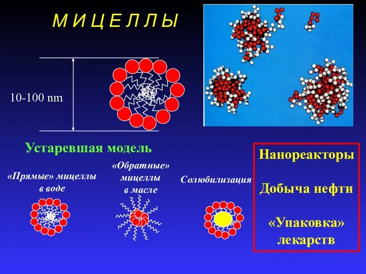 М И Ц Е Л Л Ы 10-100 nm «Прямые» мицеллы
