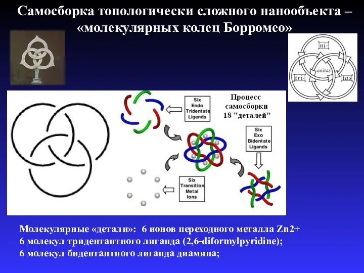 Самосборка топологически сложного нанообъекта – «молекулярных колец Борромео» Молекулярные «детали»: 6
