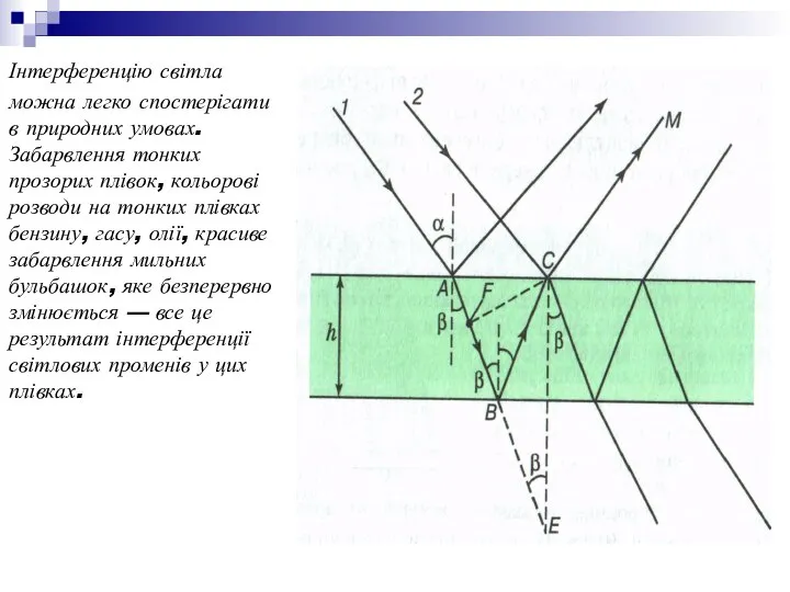 Інтерференцію світла можна легко спостерігати в природних умовах. Забарвлення тонких прозорих