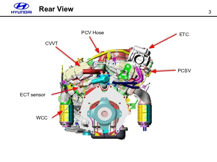 ETC PCSV PCV Hose CVVT WCC ECT sensor Rear View
