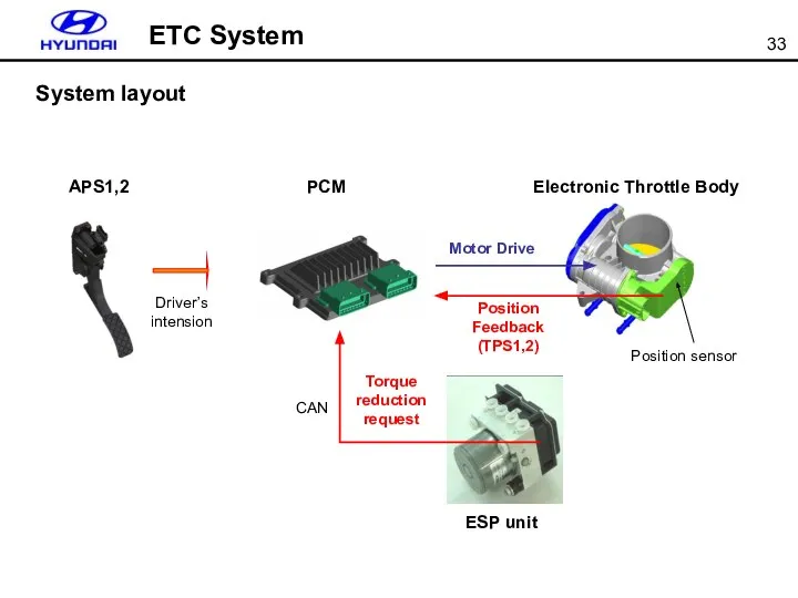 Position sensor Motor Drive Position Feedback (TPS1,2) PCM APS1,2 Electronic Throttle