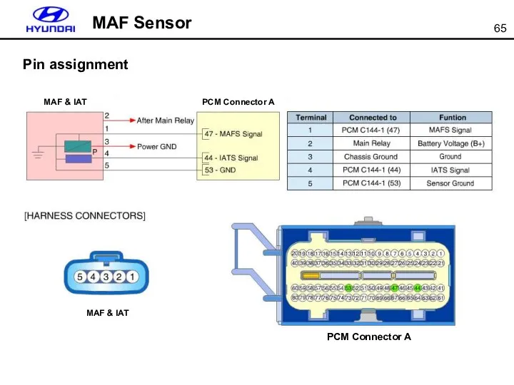 MAF Sensor Pin assignment