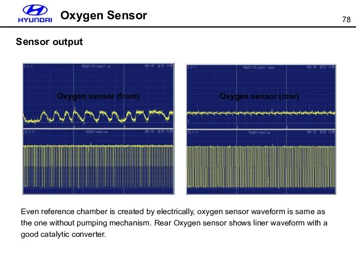Oxygen Sensor Even reference chamber is created by electrically, oxygen sensor