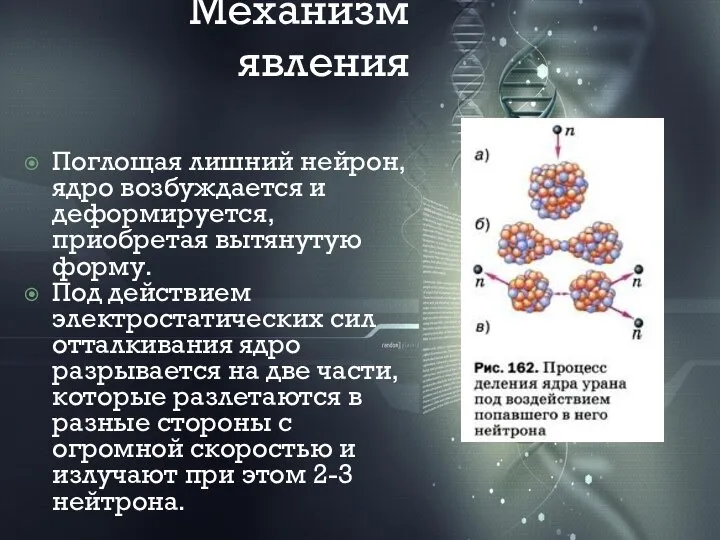 Механизм явления Поглощая лишний нейрон, ядро возбуждается и деформируется, приобретая вытянутую