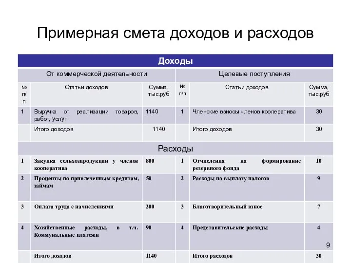 Примерная смета доходов и расходов 9