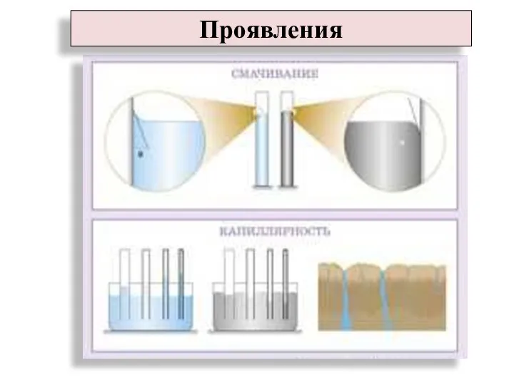 Проявления