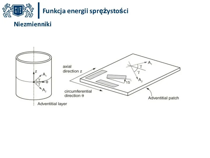 Funkcja energii sprężystości Niezmienniki