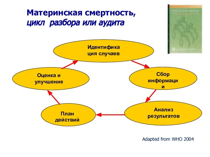 Материнская смертность, цикл разбора или аудита Идентификация случаев План действий Сбор