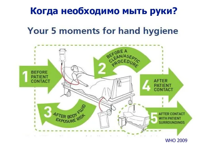 Когда необходимо мыть руки? WHO 2009