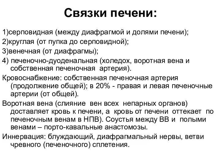 Связки печени: 1)серповидная (между диафрагмой и долями печени); 2)круглая (от пупка