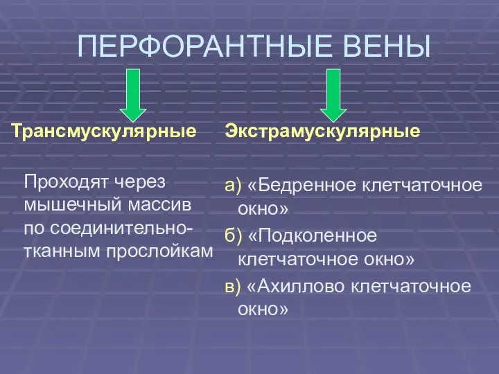 ПЕРФОРАНТНЫЕ ВЕНЫ Трансмускулярные Проходят через мышечный массив по соединительно-тканным прослойкам Экстрамускулярные