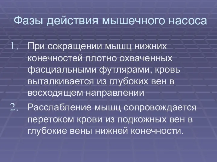 Фазы действия мышечного насоса При сокращении мышц нижних конечностей плотно охваченных