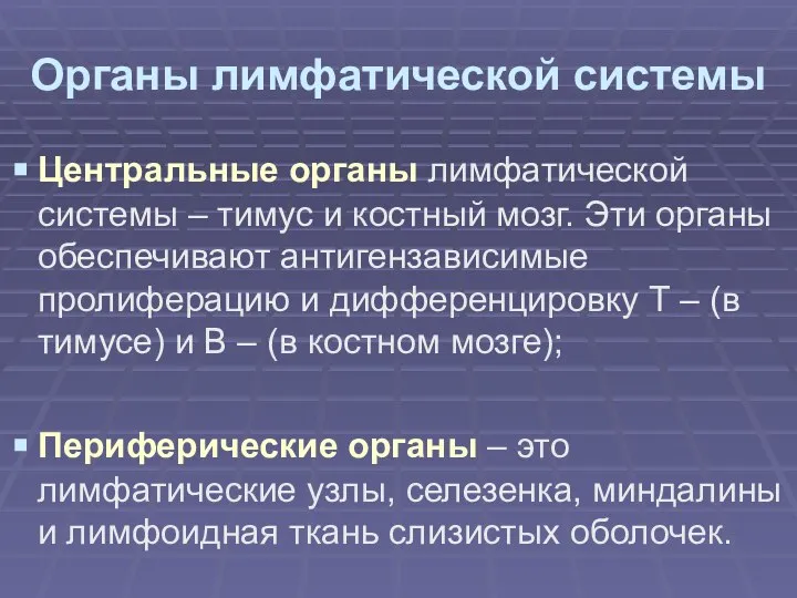 Органы лимфатической системы Центральные органы лимфатической системы – тимус и костный