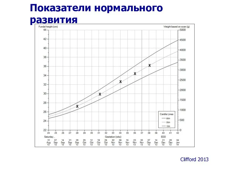 Показатели нормального развития Clifford 2013