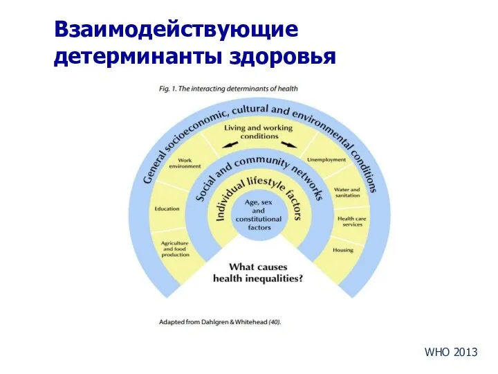 Взаимодействующие детерминанты здоровья WHO 2013