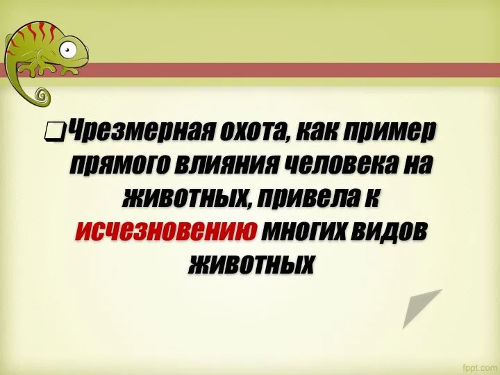 Чрезмерная охота, как пример прямого влияния человека на животных, привела к исчезновению многих видов животных