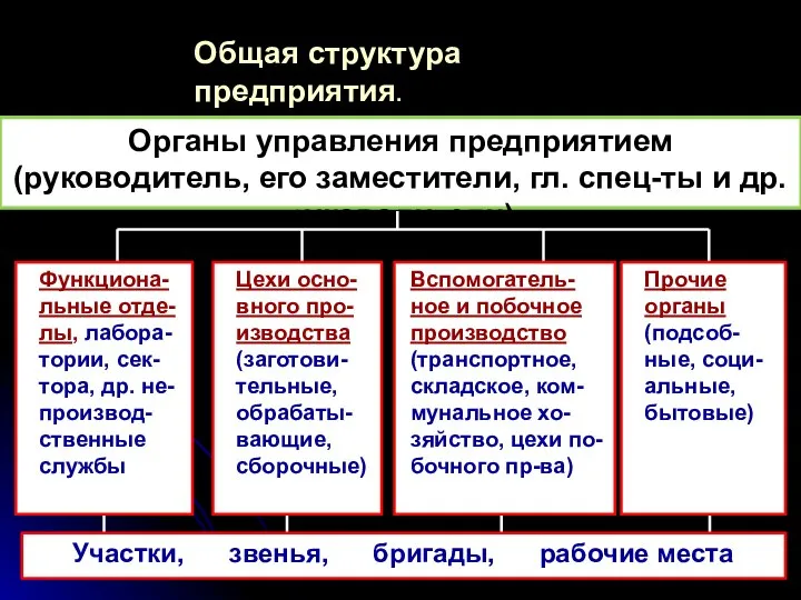 Общая структура предприятия. Органы управления предприятием (руководитель, его заместители, гл. спец-ты