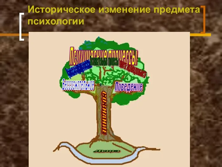 Историческое изменение предмета психологии СОЗНАНИЕ Душа Психические процессы Бессознательное Поведение Целостные