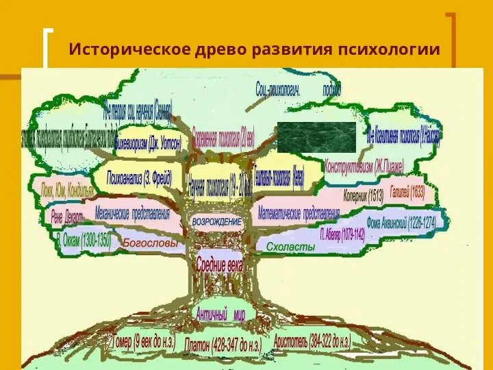 Историческое древо развития психологии Гештальт- психология (Келер) Соц.-психологич. подход 50-е Гуманистческая