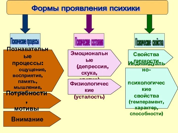 Познавательные процессы: (ощущение, восприятие, память, мышление, воображение) Потребности, мотивы Внимание Эмоциональные