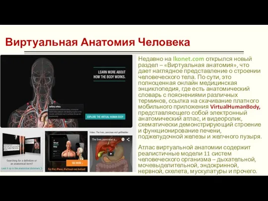 Виртуальная Анатомия Человека Недавно на Ikonet.com открылся новый раздел – «Виртуальная