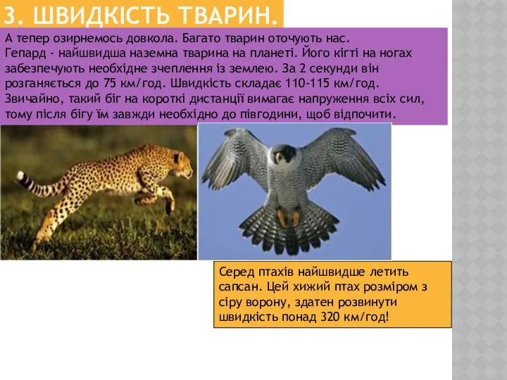 3. ШВИДКІСТЬ ТВАРИН. А тепер озирнемось довкола. Багато тварин оточують нас.