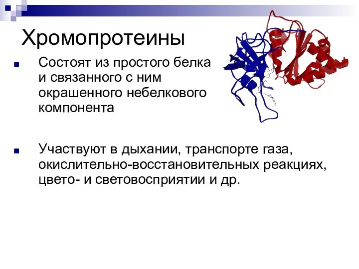 Хромопротеины Состоят из простого белка и связанного с ним окрашенного небелкового