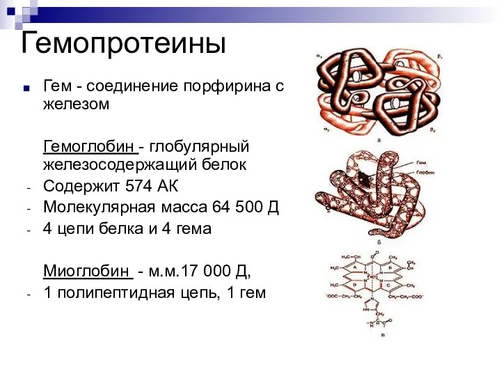 Гемопротеины Гем - соединение порфирина с железом Гемоглобин - глобулярный железосодержащий