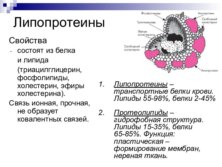 Липопротеины Свойства состоят из белка и липида (триацилглицерин, фосфолипиды, холестерин, эфиры