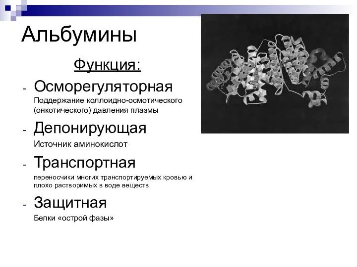 Альбумины Функция: Осморегуляторная Поддержание коллоидно-осмотического (онкотического) давления плазмы Депонирующая Источник аминокислот