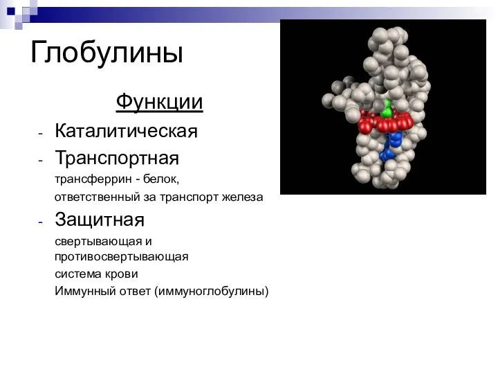 Глобулины Функции Каталитическая Транспортная трансферрин - белок, ответственный за транспорт железа