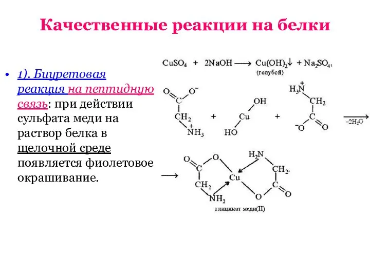 Качественные реакции на белки 1). Биуретовая реакция на пептидную связь: при