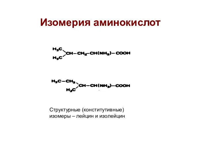 Изомерия аминокислот Структурные (конститутивные) изомеры – лейцин и изолейцин