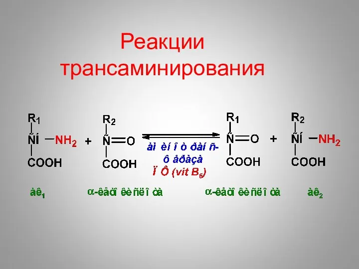 Реакции трансаминирования