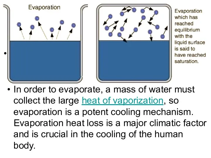 . In order to evaporate, a mass of water must collect