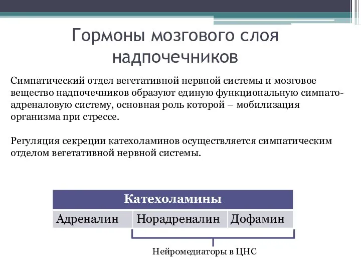 Гормоны мозгового слоя надпочечников Симпатический отдел вегетативной нервной системы и мозговое