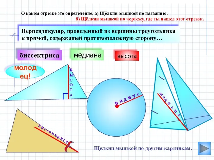 В Ы С О Т А медиана биссектриса О каком отрезке