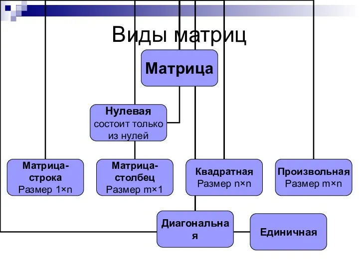 Виды матриц