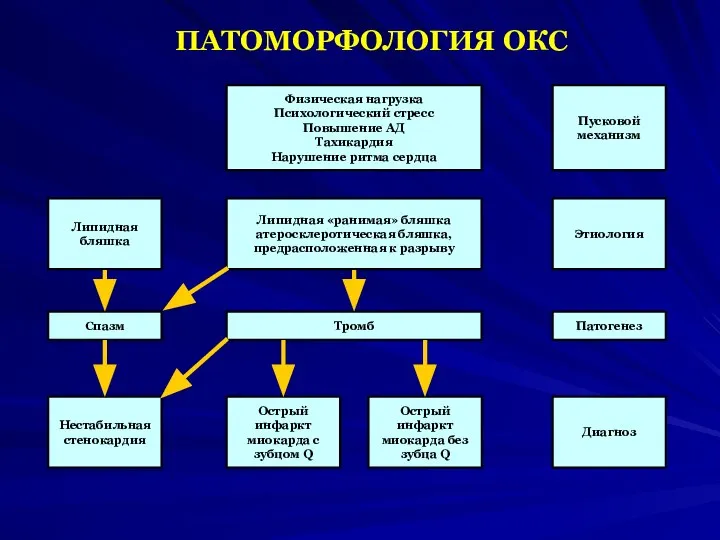 ПАТОМОРФОЛОГИЯ ОКС Физическая нагрузка Психологический стресс Повышение АД Тахикардия Нарушение ритма