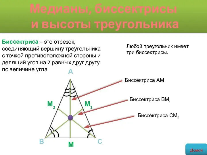 Медианы, биссектрисы и высоты треугольника Биссектриса – это отрезок, соединяющий вершину