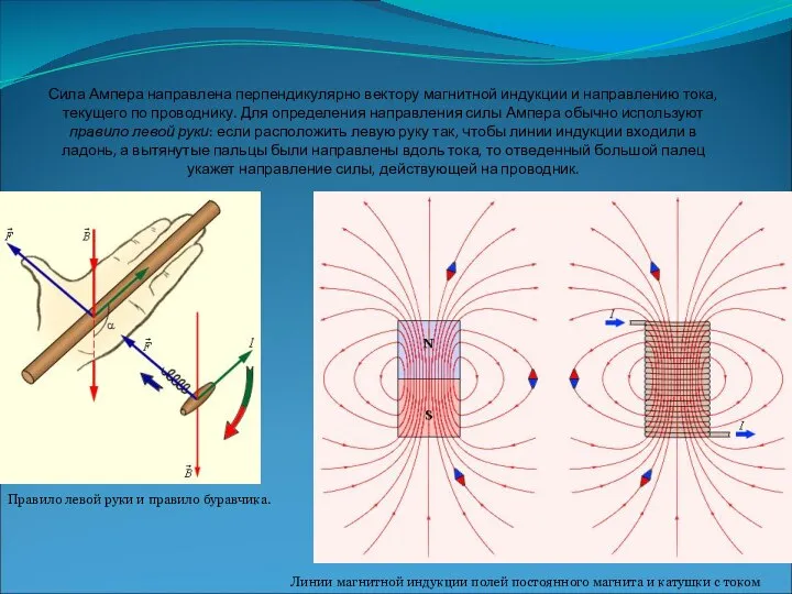 Сила Ампера направлена перпендикулярно вектору магнитной индукции и направлению тока, текущего