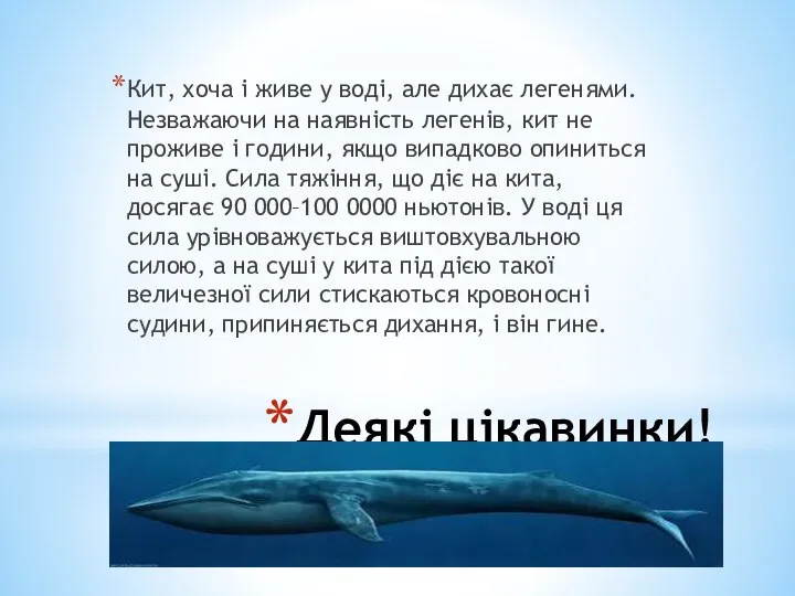 Деякі цікавинки! Кит, хоча і живе у воді, але дихає легенями.