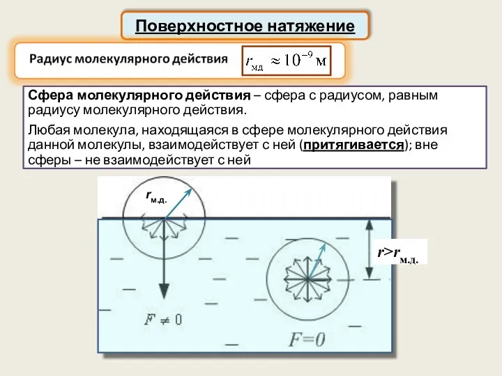 Поверхностное натяжение Сфера молекулярного действия – сфера с радиусом, равным радиусу