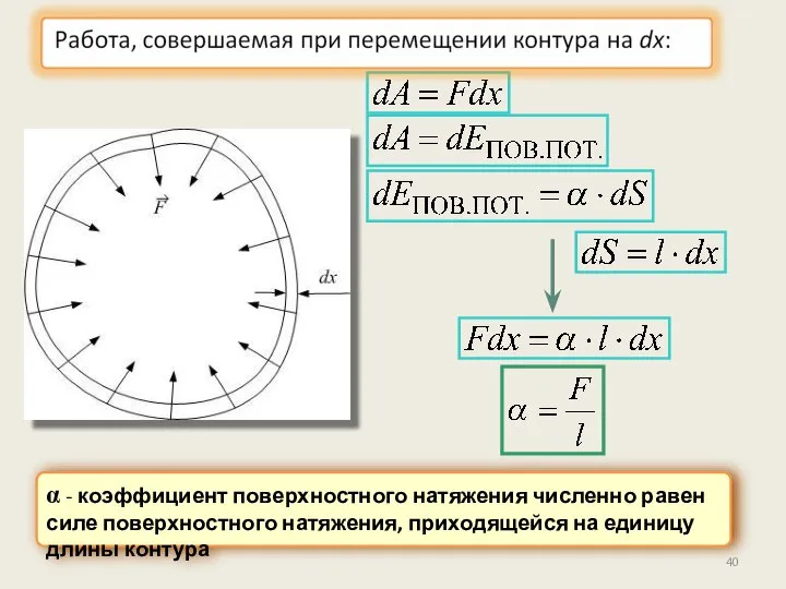 α - коэффициент поверхностного натяжения численно равен силе поверхностного натяжения, приходящейся на единицу длины контура