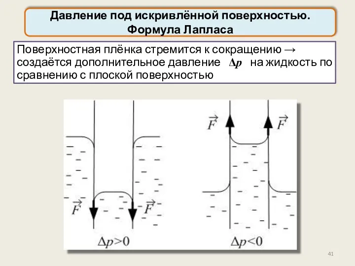 Давление под искривлённой поверхностью. Формула Лапласа Поверхностная плёнка стремится к сокращению