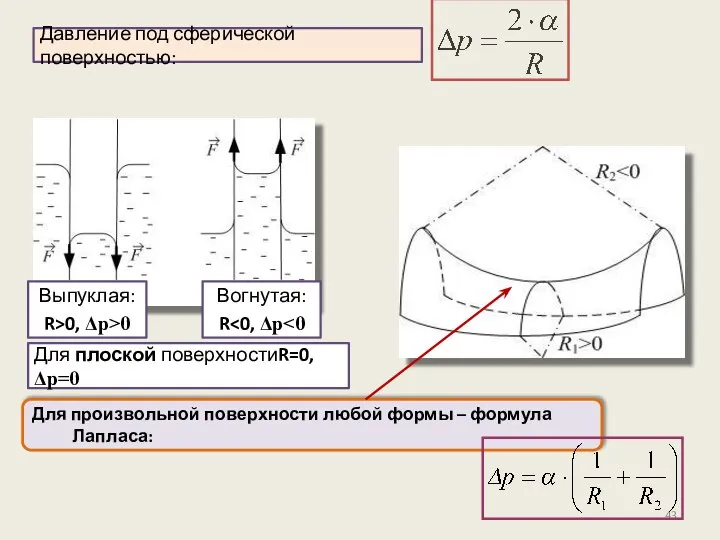 Для произвольной поверхности любой формы – формула Лапласа: Давление под сферической