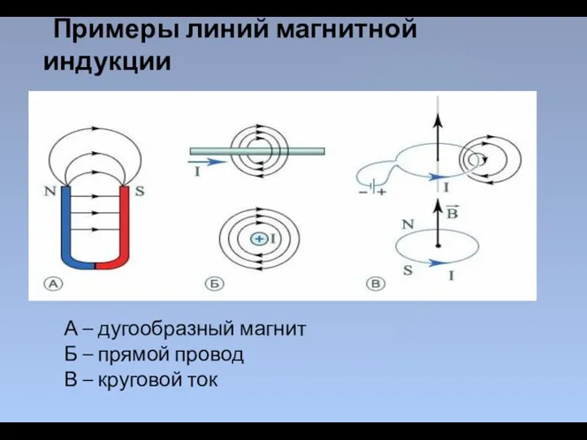 Примеры линий магнитной индукции А – дугообразный магнит Б – прямой провод В – круговой ток