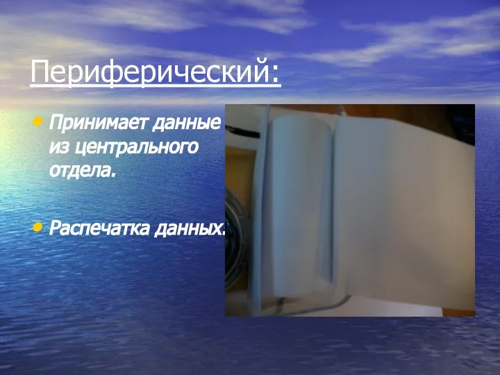 Периферический: Принимает данные из центрального отдела. Распечатка данных.